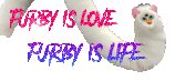 furby is love furby is life